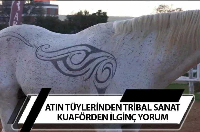 Atın Tüylerinden Tribal Sanat: Kuaförden İlginç Yorum