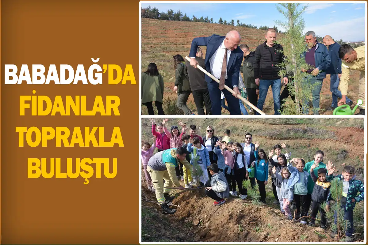 Babadağ’da Milli Ağaçlandırma Günü’nde Fidanlar Toprakla Buluştu