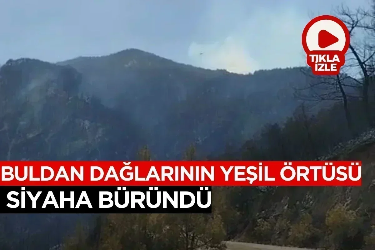 Buldan dağlarının yeşil örtüsü siyaha büründü