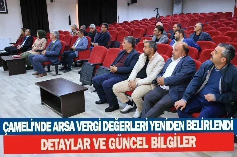 Çameli'nde Arsa Vergi Değerleri Yeniden Belirlendi: Detaylar ve Güncel Bilgiler