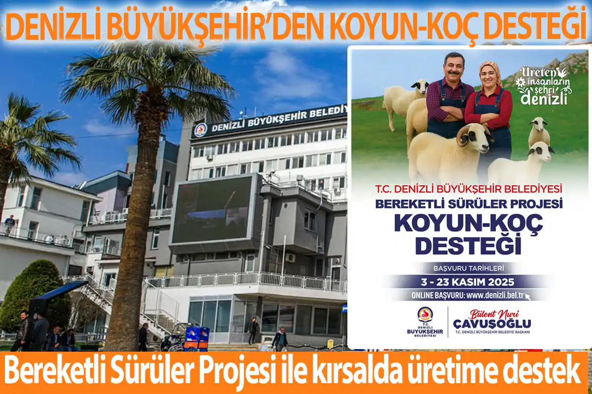 Denizli Büyükşehir’den koyun-koç desteği