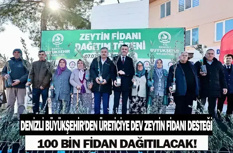 Denizli Büyükşehir'den Üreticiye Dev Zeytin Fidanı Desteği: 100 Bin Fidan Dağıtılacak!