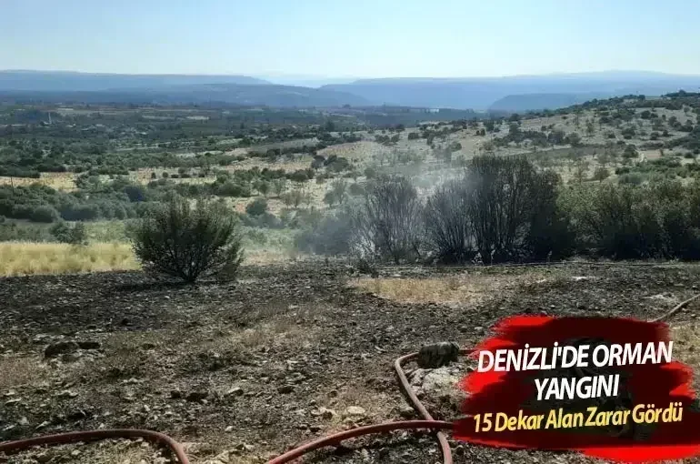 Denizli'de Orman Yangını: 15 Dekar Alan Zarar Gördü