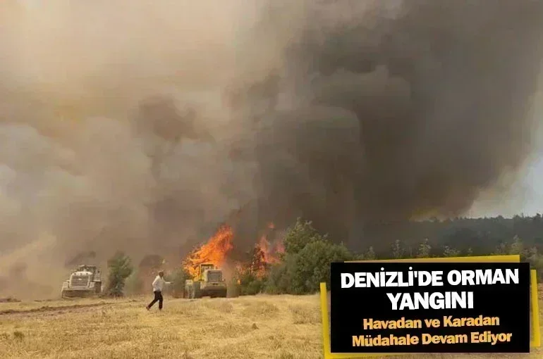 Denizli'de Orman Yangını: Havadan ve Karadan Müdahale Devam Ediyor