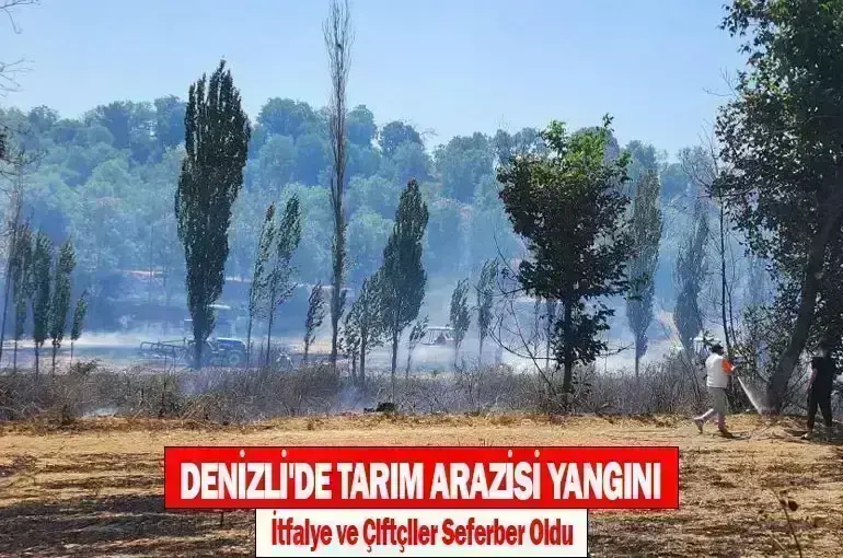 Denizli'de Tarım Arazisi Yangını: İtfaiye ve Çiftçiler Seferber Oldu