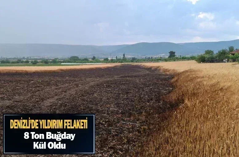 Denizli'de Yıldırım Felaketi: 8 Ton Buğday Kül Oldu
