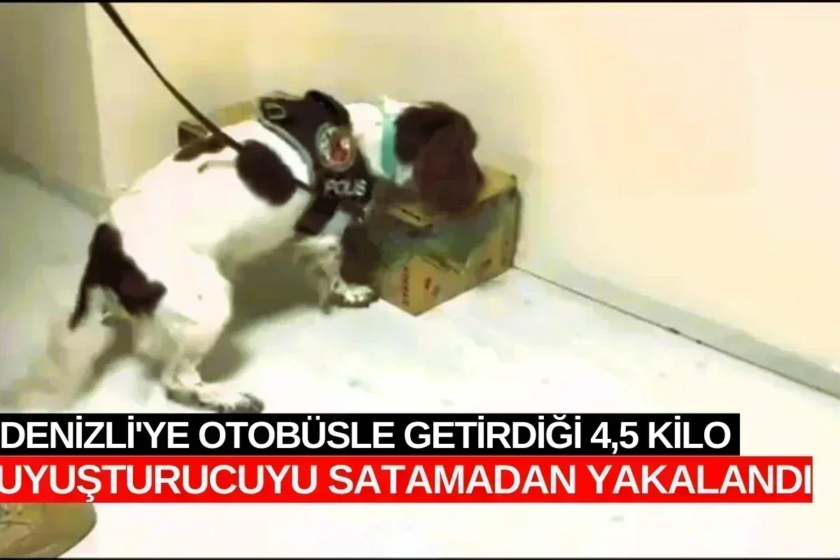Denizli'ye otobüsle getirdiği 4,5 kilo uyuşturucuyu satamadan yakalandı