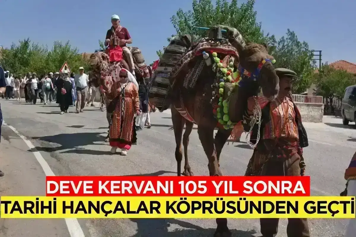 Deve kervanı 105 yıl sonra tarihi Hançalar Köprüsünden geçti