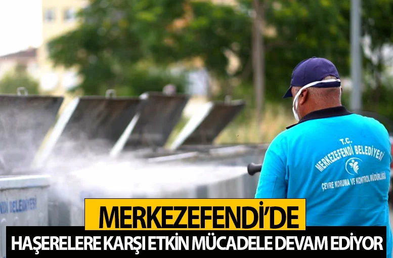 Merkezefendi’de haşerelere karşı etkin mücadele devam ediyor