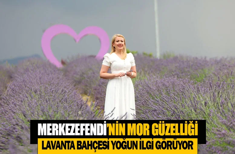 Merkezefendi’nin mor güzelliği Lavanta Bahçesi yoğun ilgi görüyor