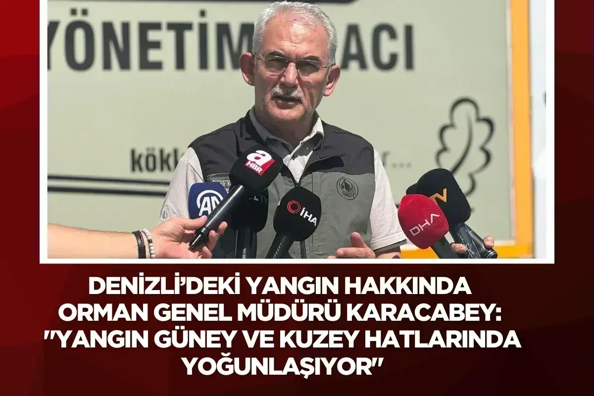 Orman Genel Müdürü Karacabey: "Yangın güney ve kuzey hatlarında yoğunlaşıyor"