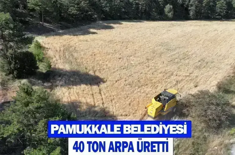 Pamukkale Belediyesi 40 Ton Arpa Üretti