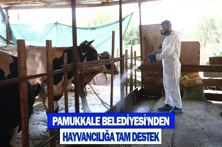 Pamukkale Belediyesi'nden Hayvancılığa Tam Destek