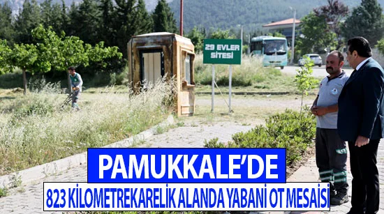 Pamukkale’de 823 kilometrekarelik alanda yabani ot mesaisi